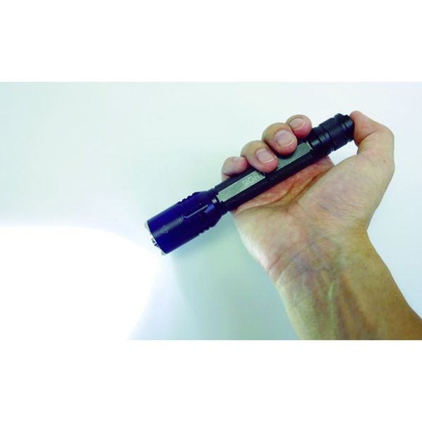 【メーカー在庫あり】 BRIGHT-TECH LEDフラッシュライト 150ルーメン EX150FL JP店