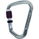 【メーカー在庫あり】 AUSTRIALPIN社 ALPIN カラビナ 2800 EVO スクリューロック 線径14.0 シルバー KW11A JP店(4)