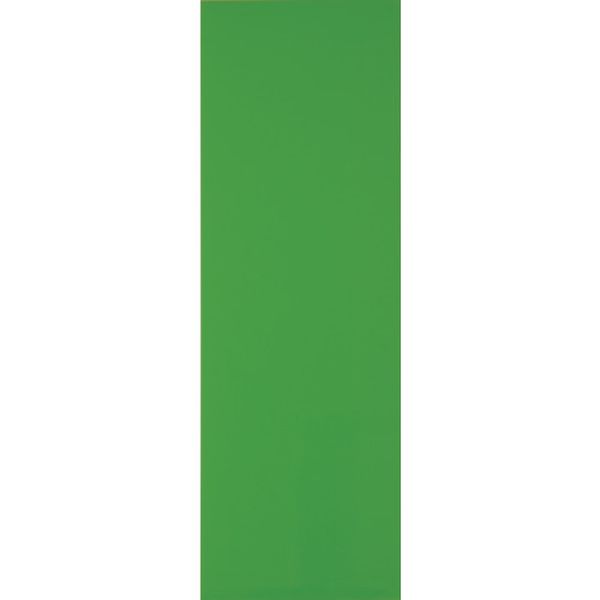 �ڥ᡼�����߸ˤ���� MSA1GN �ȥ饹���滳(��) TRUSCO �ޥ��ͥåȥ����ȱ�ͭ100X300 �� MS-A1-GN JPŹ