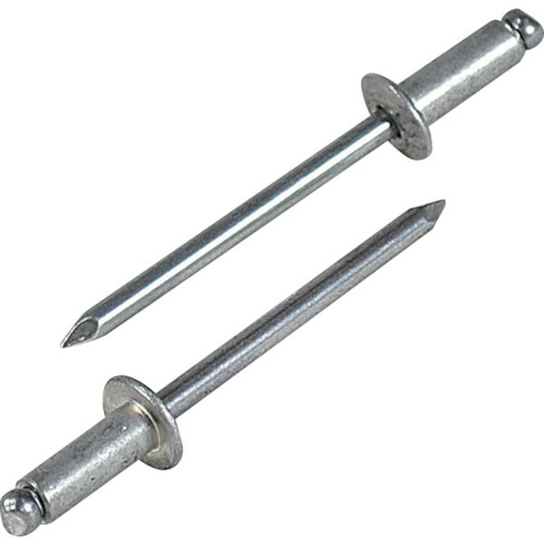 【メーカー在庫あり】 (株)ロブテックス エビ ブラインドリベット(アルミ/アルミ製) 5-2(300本入) エコ..