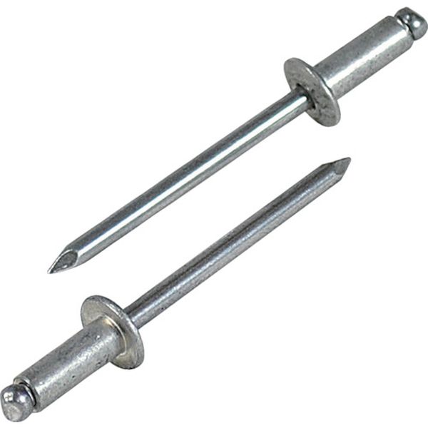 【メーカー在庫あり】 (株)ロブテックス エビ ブラインドリベット(アルミ/アルミ製) 6-6(150本入) エコ..