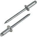 【メーカー在庫あり】 NA82EB (株)ロブテックス エビ ブラインドリベット(アルミ/アルミ製) 8-2(100本入) エコBOX NA8-2EB JP店(4)