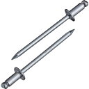 【メーカー在庫あり】 (株)ロブテックス エビ ブラインドリベット(スティール/スティール製) 4-8(300本入) エコBOX NS48EB JP店