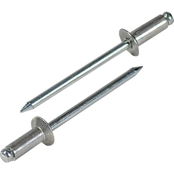 【メーカー在庫あり】 (株)ロブテックス エビ ブラインドリベット・皿頭 アルミ/スティール 6-6 (1000..