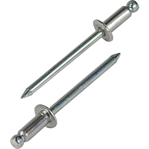 【メーカー在庫あり】 NSS55EB ブラインドリベット(ステンレス/スティール製) 5-5(300本入) エコBOX NS..