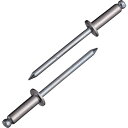 【メーカー在庫あり】 (株)ロブテックス エビ ブラインドリベット(1000本入) ステンレス/スティール 6-5 NSS6-5 JP(4)