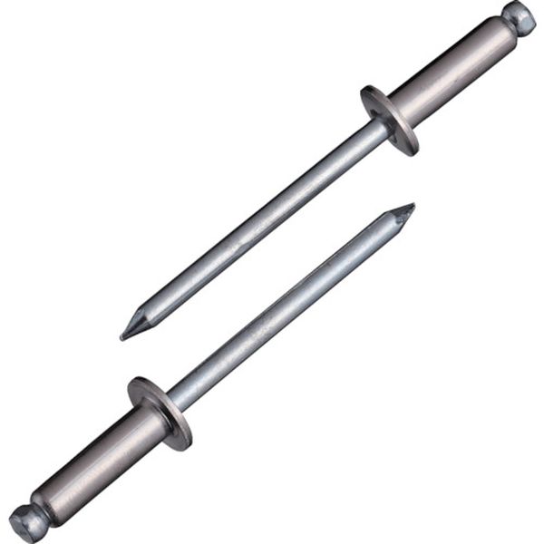 【メーカー在庫あり】 NSS66EB ブラインドリベット(ステンレス/スティール製) 6-6(150本入) エコBOX NS..