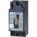 【メーカー在庫あり】 SE2P2E20S 河村電器販売(株) 河村電器 分岐回路用ノーヒューズブレーカ SE 2P2E20S JP店