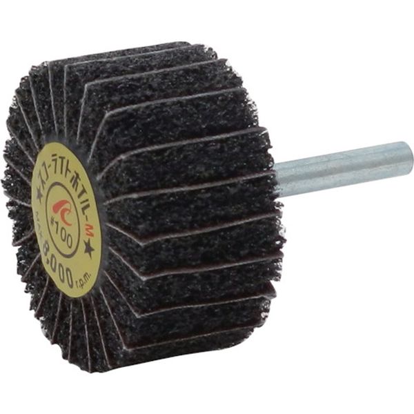 【メーカー在庫あり】 SW5025M100 スコーライトホイルM 軸径6mm #100 外径50×幅25×軸長40 5個入り SW5025-M-100 JP店