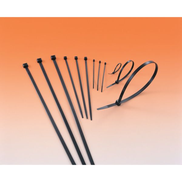 【メーカー在庫あり】 T60SHSW ヘラマンタイトン(株) ヘラマンタイトン MSタイ 幅4.8X長さ251mm 100本入 屋外用 T60S-HSW JP店