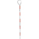【メーカー在庫あり】 TPP30 トラスコ中山(株) TRUSCO ピンポール 全長300mm ポール外径6.0mm TPP-30 JP店