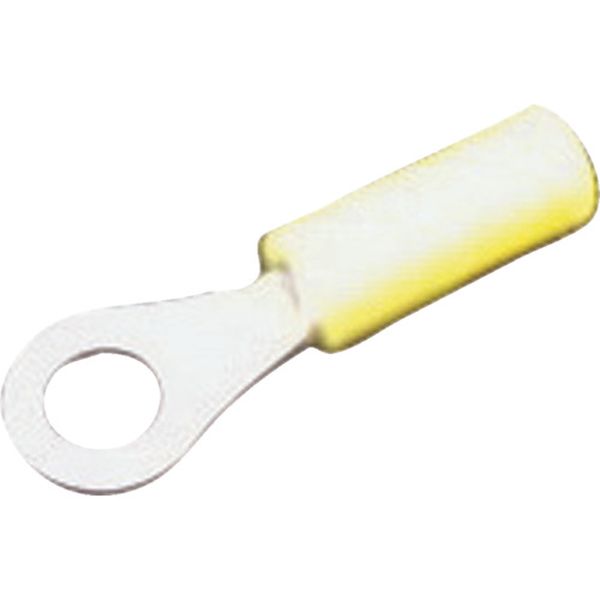 ڥ᡼߸ˤ V5.5S3 ܰü¤() JST ӥ˥մݷü(ȥ졼ȷ) 100 V5.5-S3 HD...