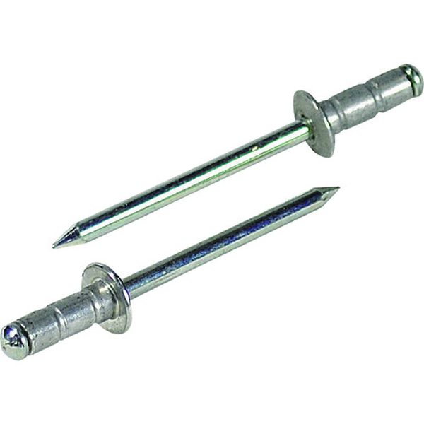 【メーカー在庫あり】 (株)ロブテックス エビ APリベット(アルミニウム/スティール製) 6-4(35本入) エ..