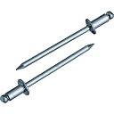 【メーカー在庫あり】 エビ ブラインドリベット(スティール/スティール製) 4-6(50本入) エコパック NS46MP JP店(4)