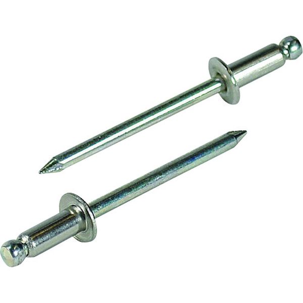 【メーカー在庫あり】 (株)ロブテックス エビ ブラインドリベット(ステンレス/スティール製) 6-4(15本..