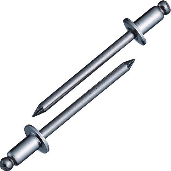 【メーカー在庫あり】 (株)ロブテックス エビ ブラインドリベット(ステンレス/ステンレス製) 6-3(15本..