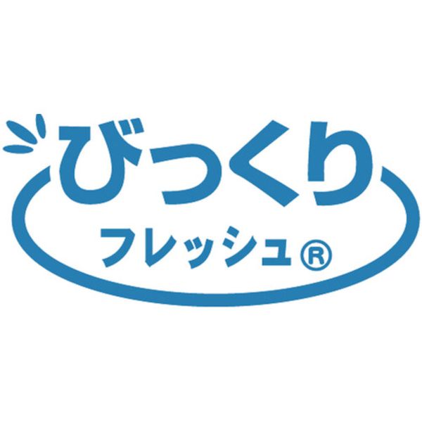 【メーカー在庫あり】 BH20 (株)サンコー サンコー びっくりステンボトル洗い BH-2...