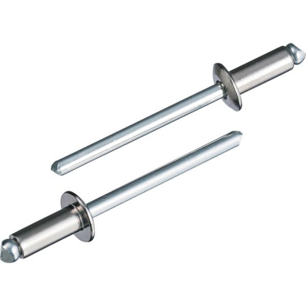 【メーカー在庫あり】 (株)ロブテックス エビ ブラインドリベット(丸頭) ステンレス/スティール製 4-8(1000本入) LSS48 JP店