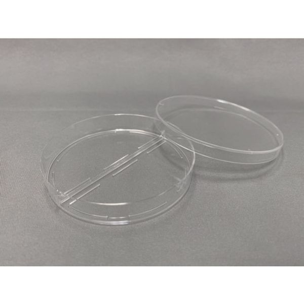 �ڥ᡼�����߸ˤ���� 01007 ���󥻥����Ŵ��(��) SANSEI 2ʬ�䥷�㡼��L 01-007 JPŹ