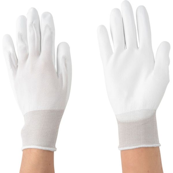 ڥ᡼߸ˤ ()  쥿ȴ ԥåL (10) 2989L JPŹ