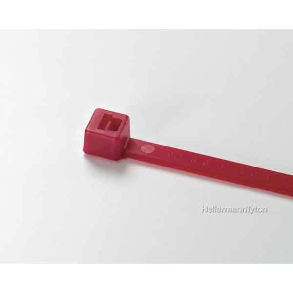 【メーカー在庫あり】 T30RRED カラータイ 幅3.5×長さ152mm 屋内使用 (100本入) レッド T30R-RED JP店