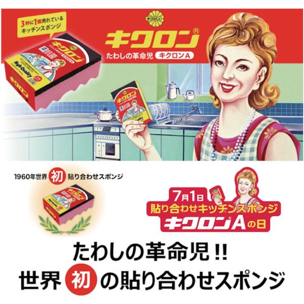 【メーカー在庫あり】 キクロン(株) キクロン キクロンA 袋入 Y 102594 JP店