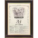 【メーカー在庫あり】 大額(株) 大額 額縁 賞状額 ネオ光輝 OA-A4 0142 501429 JP店