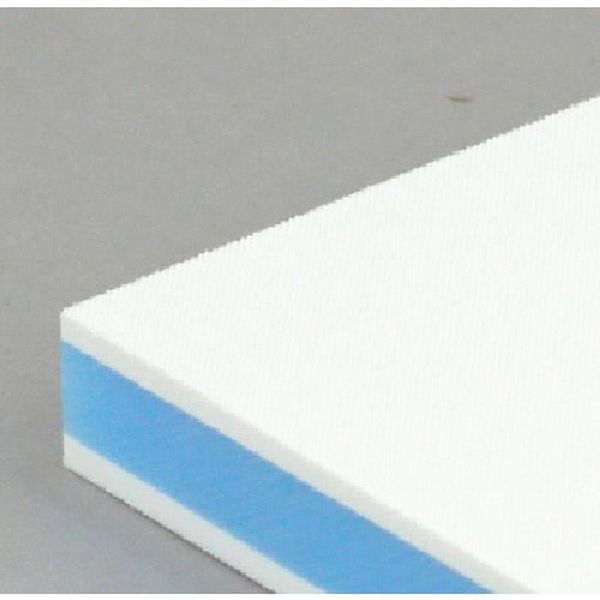 Plastic - 【メーカー在庫あり】 CKB20S (株)三洋化成 サンヨー カラー抗菌業務用まな板 CKB-20S CKB-20S JP店