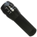【メーカー在庫あり】 BL8402 (株)アイガーツール アイガーツール 傷見・歪み検査用ライト BL-8402 JP店