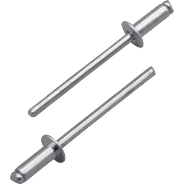 【メーカー在庫あり】 (株)ロブテックス エビ ブラインドリベット(スティール/スティール製) 6-7(500本..