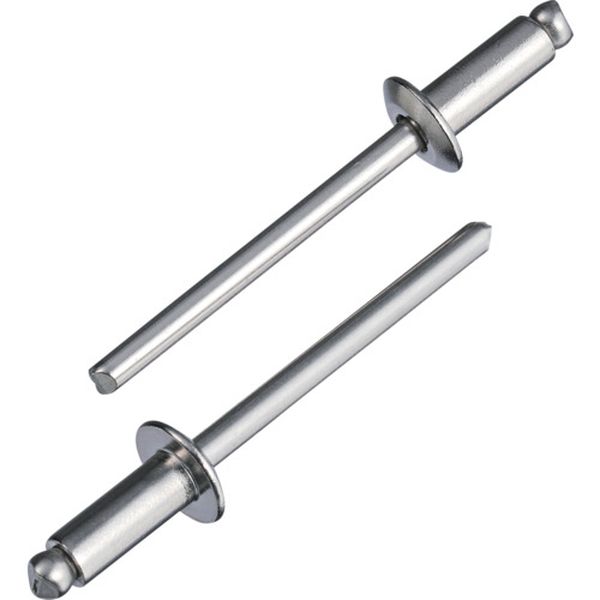 【メーカー在庫あり】 (株)ロブテックス エビ ブラインドリベット(ステンレス/ステンレス製) 5-8(1000..