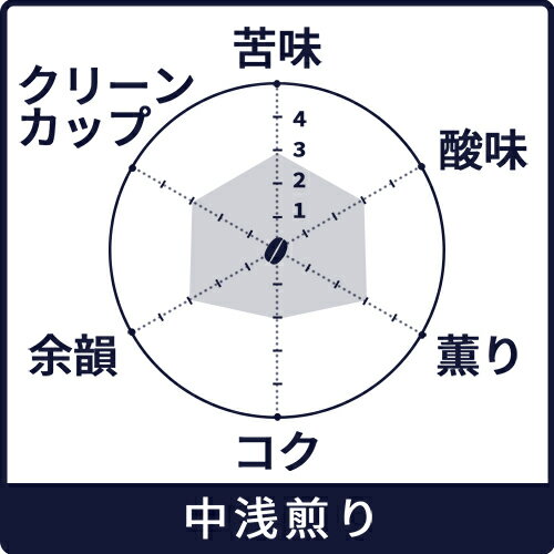 コーヒー豆【ブルーマウンテン NO.1 100g】【中浅煎り】【シングルオリジン】自家...