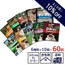 【送料無料】【まとめ買い10％OFF】【ドリップコーヒー 60個】選べる 自家焙煎 スペシャルティ ドリップコーヒー コーヒー 珈琲 自宅用 大容量