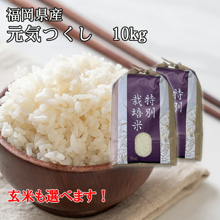 【農家直送】 10kg(5kg×2)【令和5年産 新米(無農薬米) 販売開始】 福岡県産 元気つくし 10kg(5kg×2) 白米・玄米・精米 無農薬 減農薬 酵素・有機アミノ酸栽培 米 国産 九州 産地直送 農家直売 令和5年産【送料無料】のサムネイル