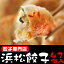 【ご当地グルメ】手作り浜松生餃子42個セット(冷凍)（◎◎静岡のB級グルメの定番浜松ぎょうざ）通信販売