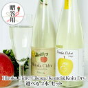 【送料無料】ギフト箱入 Hiroka Cidre Eikoga/Komei&Koju Dry 選べる 2本 セット 500ml×2 ヒロカシードル 栄黄雅 えい...