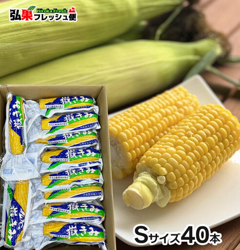 嶽きみ 真空パック Sサイズ40本 とうもろこし だけきみ 食べたい時にすぐに食べれる便利な真空パック!当店人気商品・毎年数量限定での販売です!青森県産 弘果 嶽きみ 真空パック Sサイズ40本 とうもろこし だけきみ 食べたい時にすぐに食べれる便利な真空パック!当店人気商品・毎年数量限定での販売です!青森県産 弘果