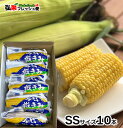 嶽きみ 真空パック SSサイズ10本入り ギフト箱入り とうもろこし だけきみ 食べたい時にすぐに食べれる便利な真空パック!当店人気商品・毎年数量限定での販売...