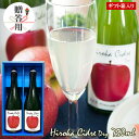 Hiroka Cidre Dry 750ml×2本 ギフト箱入 お中元 お歳暮 贈答用 お祝い ヒロカシードル ドライ 青森県産 りんごのお酒 女子会 パーティー 手土産 スパークリング 誕生日 成人式 弘果 弘前さくらまつり お土産 家飲み 送料無料