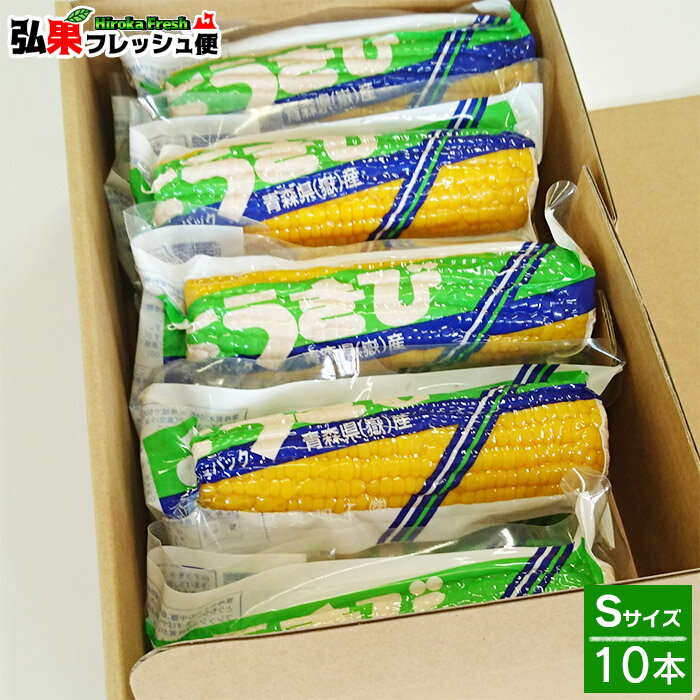 【2023年度産】嶽きみ 真空パック　Sサイズ10本入り　ギフト箱入り とうもろこし だけきみ 食べたい時にすぐに食べれる便利な真空パック！当店人気商品・毎年数量限定での販売です！青森県産 弘果