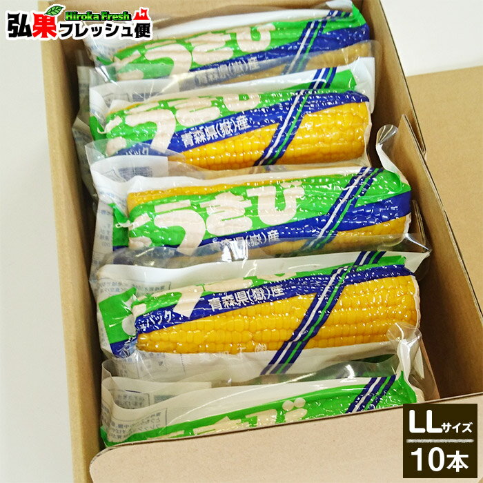 嶽きみ 真空パック LLサイズ10本入り ギフト箱入り とうもろこし だけきみ 食べたい時にすぐに食べれる便利な真空パック 当店人気商品・毎年数量限定での販売です 