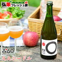 シードル セット もりやま園 えんシードル 自社農園天然酵母使用 りんごの品種:彩香(さいか)使用お中元 お歳暮 ギフト アルコール 青森県産 果実酒 発泡性【...