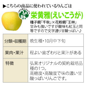 りんごジャム 青森県産 黄色いりんご「栄黄雅(えいこうが)」ジャム　270g　つがりあんアップル 栄黄雅 使用 当店オリジナルジャム アップルジャム 青森土産 桜祭り ねぷたまつり