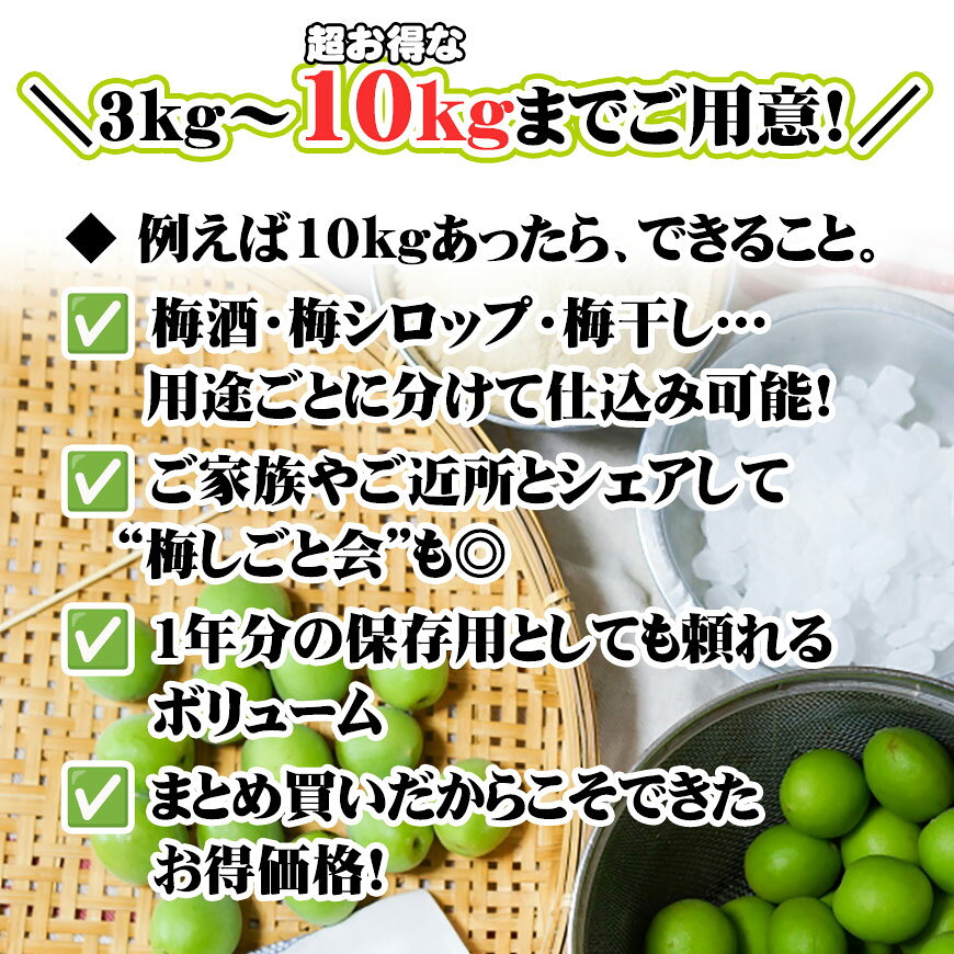 《終了間近!!》青森県産 青梅（品種：豊後）3kg・5kg・10kg 訳あり 大小さまざま（...
