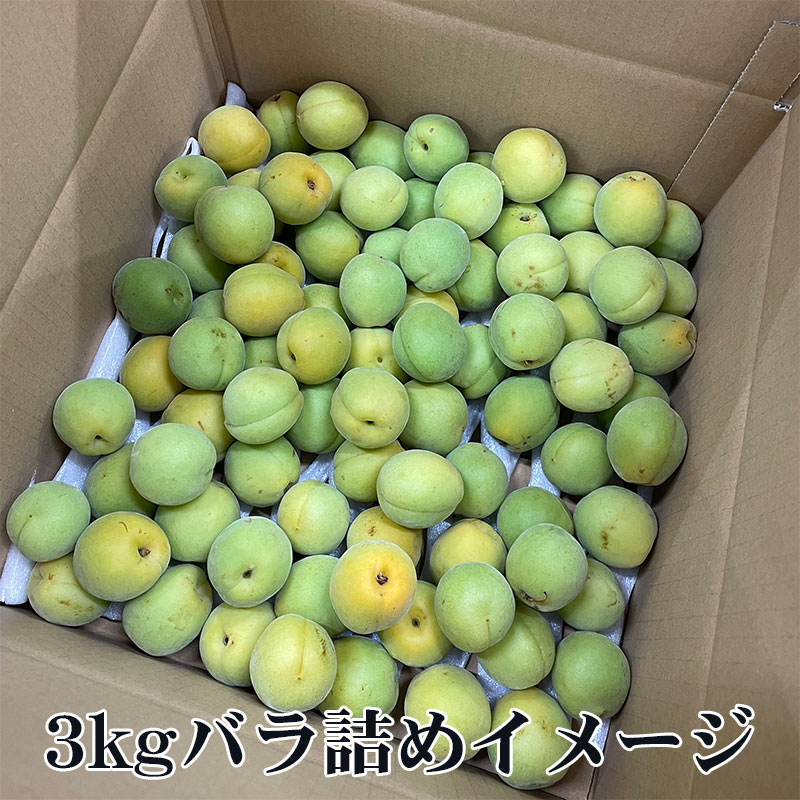 楽天市場】青梅 10kg（総重量（果物）3.00 ～ 3.99kg）の通販