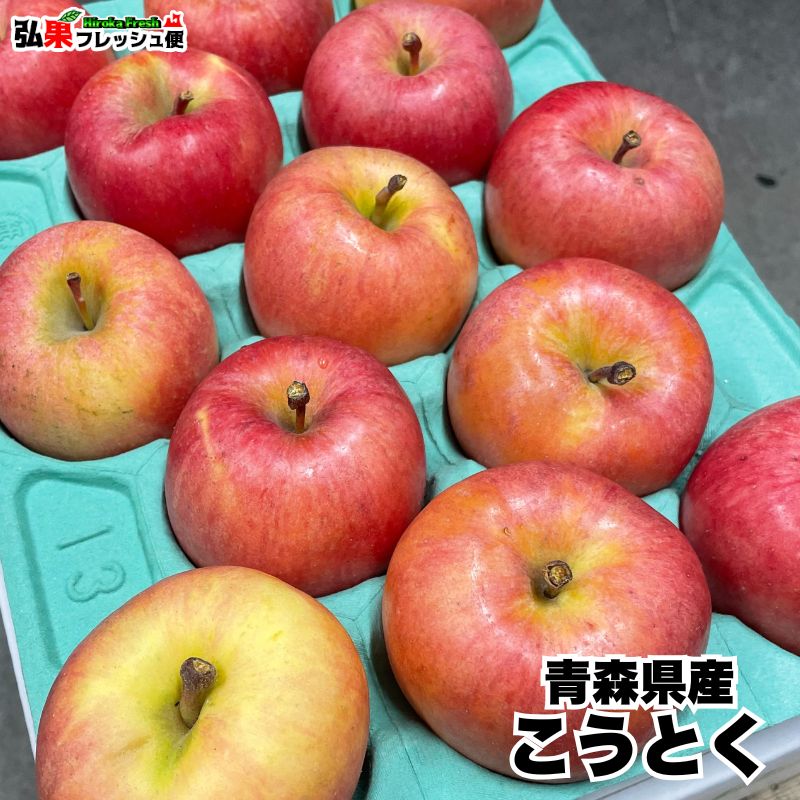楽天市場】こみつ りんご 高徳の通販