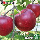 青森県産りんご「大紅栄」家庭消費用10〜16個入☆
