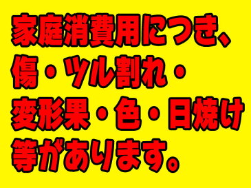 【家庭消費用】サンふじ 約10kg前後 28個〜40個入【送料無料】【りんご 10kg 訳あり】【りんご 訳アリ 10kg】【青森 りんご 10kg】【りんご 10kg 送料無料】【訳ありりんご 送料無料】