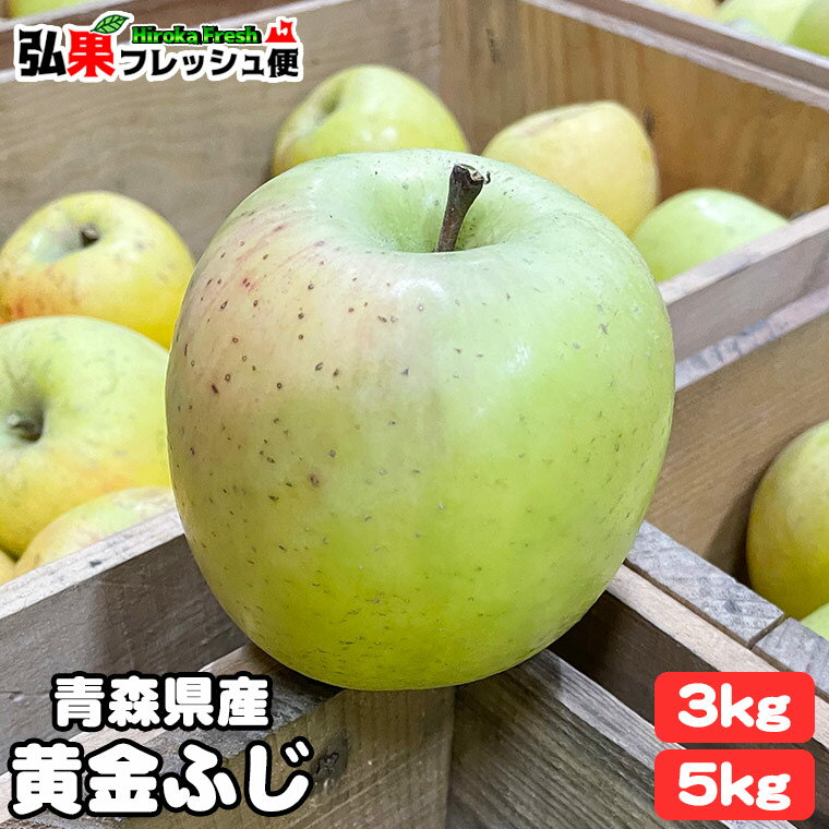 【送料無料】青森りんご 訳あり 黄金ふじ 約3kg（8玉～12玉入り）／約5kg詰め（12玉～20玉入り）青森県産 リンゴ 通販 林檎 販売 青森林檎 家庭用 ワケアリ 3キロ 5キロ