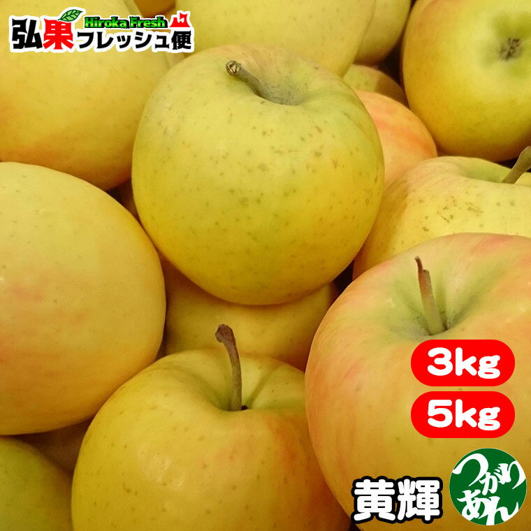【ご予約受付中／9月下旬～発送】【送料無料】 青森 りんご 訳あり 黄輝（こうき） 3kg前後 8〜12個／5kg前後 12～23個【訳あり りんご】【りんご 訳アリ】【りんご 品種 珍しい】